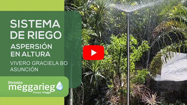 Video 8